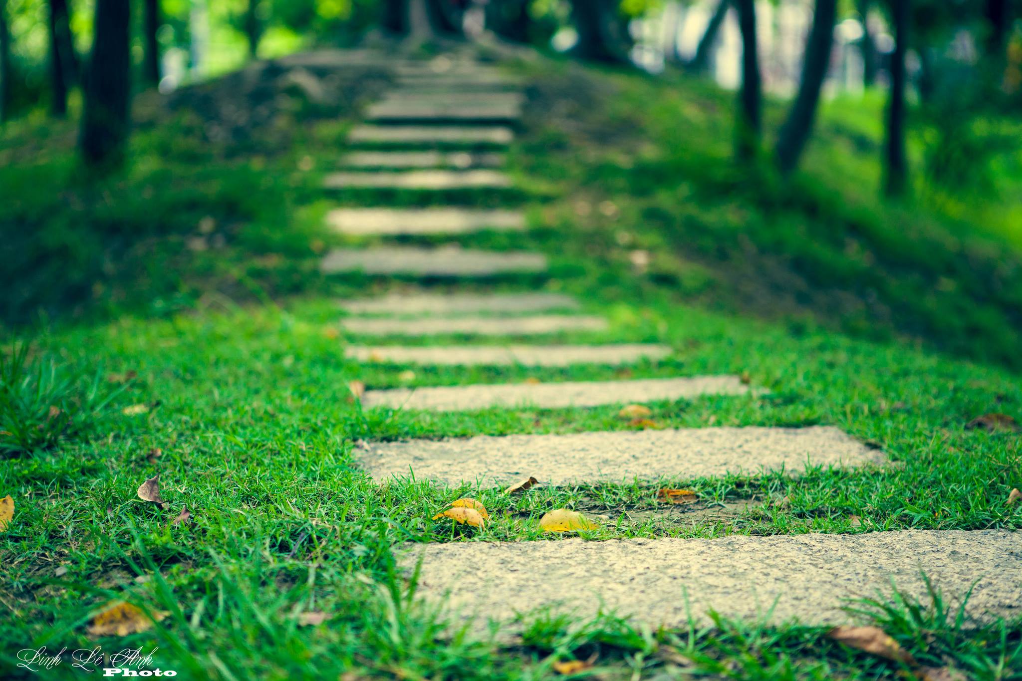 Con Đường Mang Tên Em